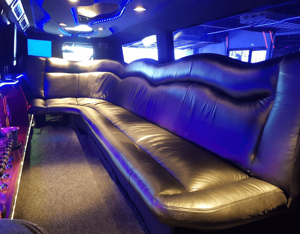 Black Land Rover Limousine