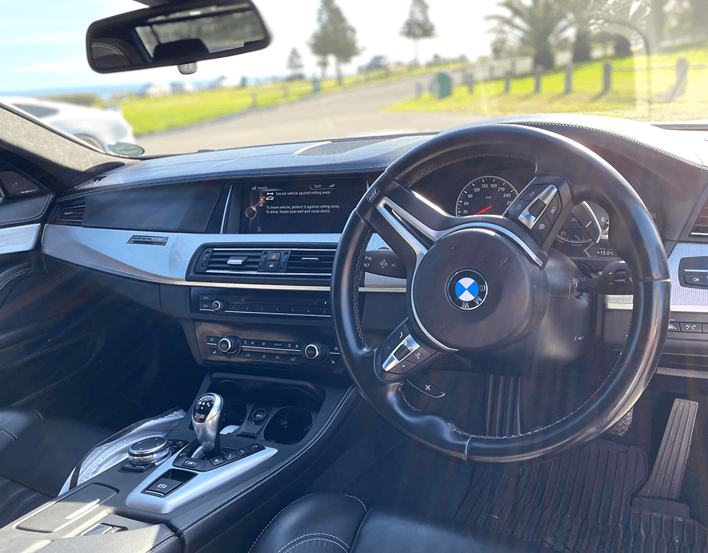 BMW M5 F10 Pure Metal Edition 1/20